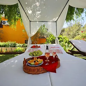 Apartment Mirakul, Zadar